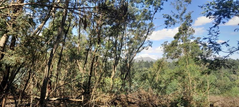 0 Bedroom Property for Sale in Hogsback Eastern Cape